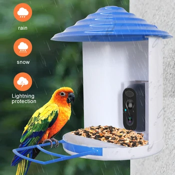 1080P Слънчеви Wifi камера за наблюдение на птици Външна водоустойчив безжична ясла за птици, 2-мегапикселови камери за наблюдение с откриването на Ai 2-лентов звук