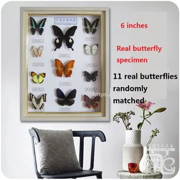 16 инча, нов модел на истинска пеперуда, рамка за снимка, технология украса, независима колекция от стенописи насекоми, подарък за рожден ден